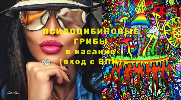 крисы Алексеевка