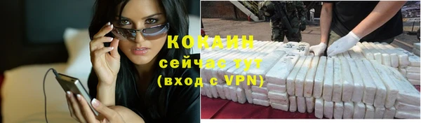 прущий лед Алзамай