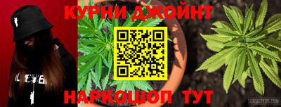гидра Новокубанск