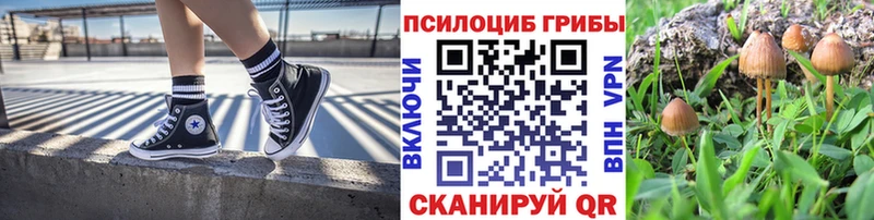 где купить наркоту  Старый Оскол  Галлюциногенные грибы прущие грибы 