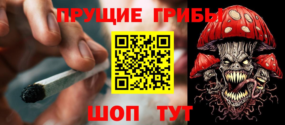 Псилоцибиновые грибы мухоморы  Вход с VPN  Старый Оскол  Галлюциногенные грибы Psilocybe 